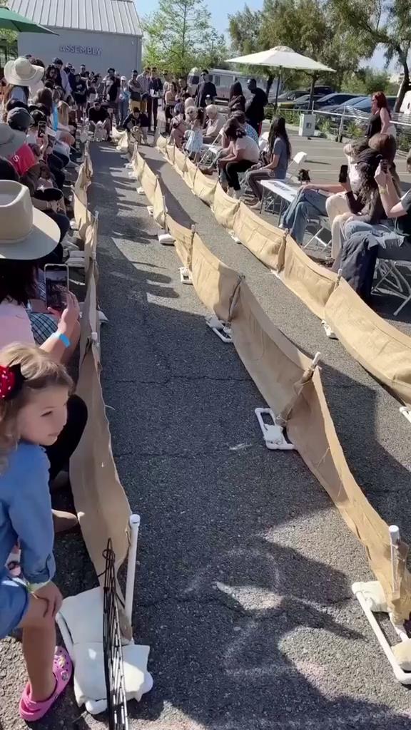 Wiener dog races west coast wiener nationals tm hoopla